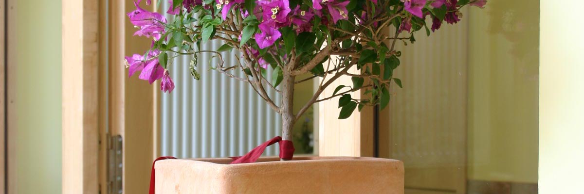 Breakfast experience at Hotel Centro